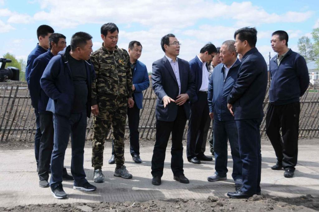 闫永庆院长(右五)对东发村绿化美化工程提出意见建议