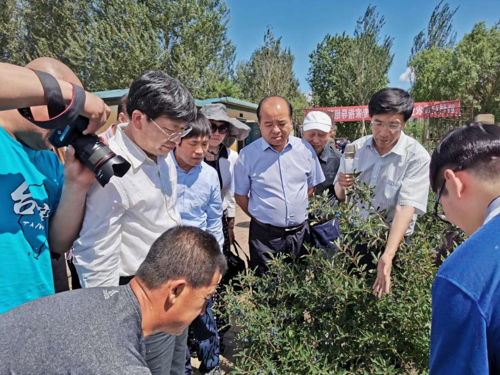 邹德堂副校长陪同邓秀新院士一行考察蓝靛果科研示范基地