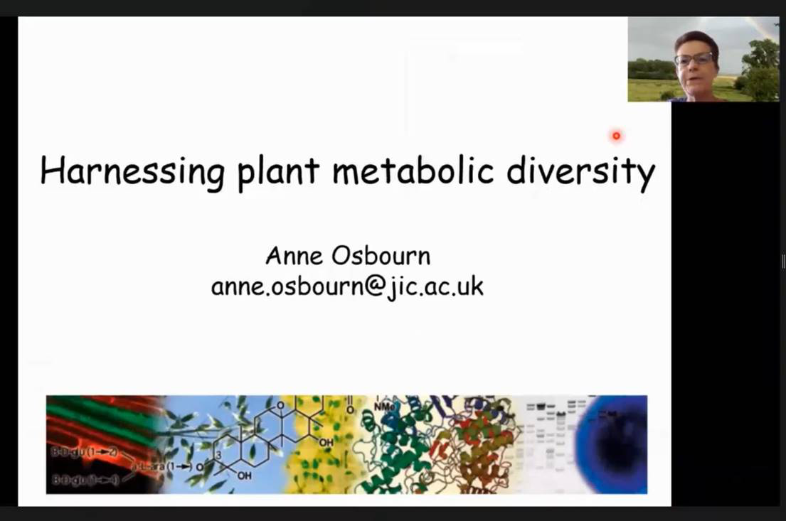 英国科学院院士Anne Osbourn教授作报告