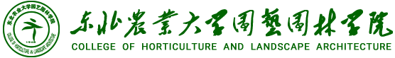 永利集团304am登录